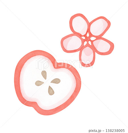 Half an apple with and apple flower. Watercolor illustration isolated on a white background for postcards, fabric printing, menus, posters and packaging Half an apple with and apple flower. Watercolor illustration isolated on a white background for postcards, fabric printing, menus, posters and packaging 138238005