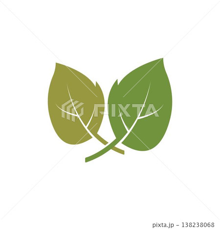 Logos of green leaf ecology nature element vector icon 138238068