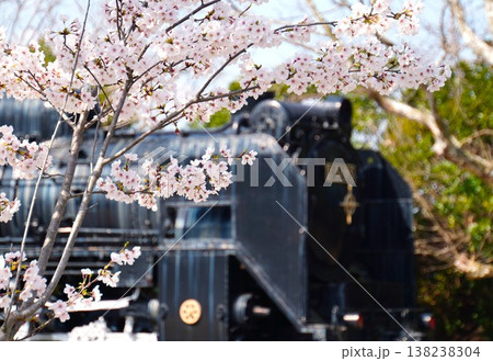 桜満開の奥にはSL列車 桜満開の奥にはSL列車 138238304