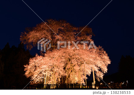 戸津辺の桜 戸津辺の桜 138238533