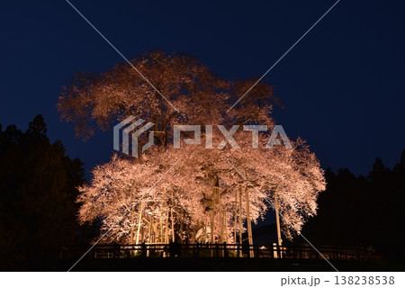 戸津辺の桜 戸津辺の桜 138238538