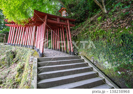 Red Tori gate in Yutoku Inari Shrine, famous shrine dedicated to Inari in Kashima, Saga, Kyushu Red Tori gate in Yutoku Inari Shrine, famous shrine dedicated to Inari in Kashima, Saga, Kyushu 138238968