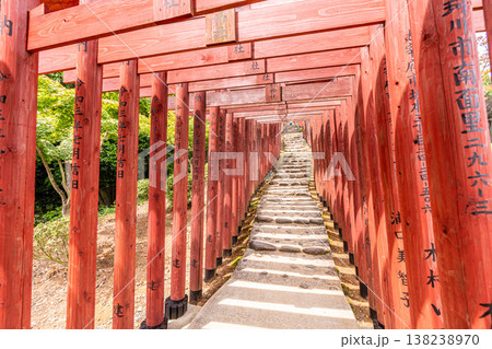 Red Tori gate in Yutoku Inari Shrine, famous shrine  dedicated to Inari in  Kashima, Saga, Kyushu 138238970