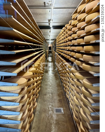 チーズ工場の通路 138239104