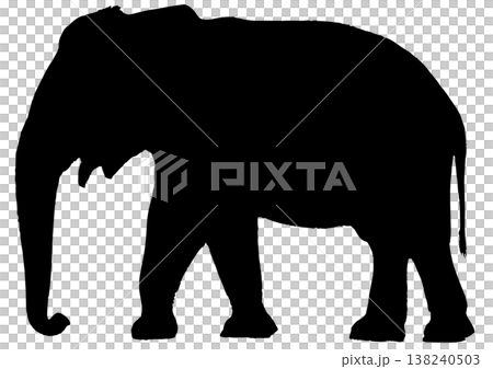 Silhouette of a walking elephant Silhouette of a walking elephant 138240503