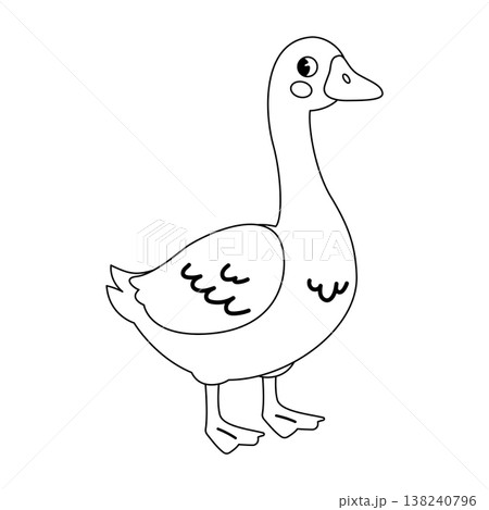 Domestic goose cartoon line art vector drawing for kids coloring book and activity page 138240796