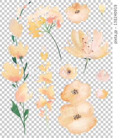 Watercolor light yellow flowers clipart, botanical isolated illustration, pastel wedding elements Watercolor light yellow flowers clipart, botanical isolated illustration, pastel wedding elements 138240919