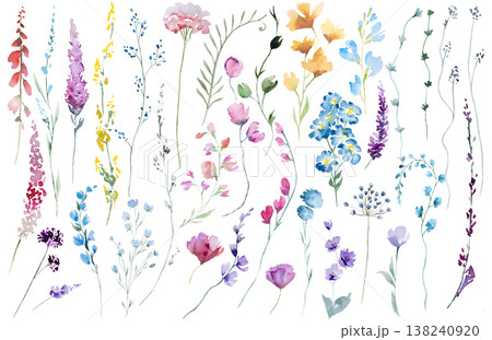 Watercolor colorful wildflowers clipart, isolated illustration, botanical wedding stationery set 138240920