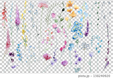 Watercolor colorful wildflowers clipart, isolated illustration, botanical wedding stationery set 138240920