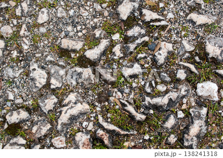Rough Ground Texture with Broken Concrete, Gravel, and Green Grass Rough Ground Texture with Broken Concrete, Gravel, and Green Grass 138241318