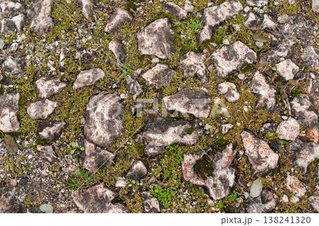 Rough Ground Texture with Broken Concrete, Gravel, and Grass Close Up Rough Ground Texture with Broken Concrete, Gravel, and Grass Close Up 138241320