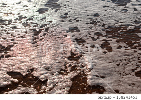 Sea foam on wet sand at the beach 138241453