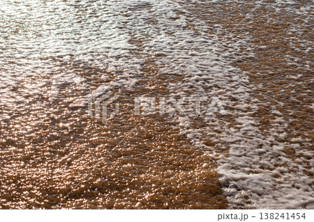 Wet Sandy Beach with Sea Foam Wet Sandy Beach with Sea Foam 138241454
