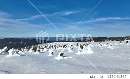 Jeseniky snow frost tree spruce close up shot during winter natural ice form cold cool ice tundra biome frigid temperature birds eye top view footage. Famous tourist place in Hruby Jesenik mountains Jeseniky snow frost tree spruce close up shot during winter natural ice form cold cool ice tundra biome frigid temperature birds eye top view footage. Famous tourist place in Hruby Jesenik mountains 138241885