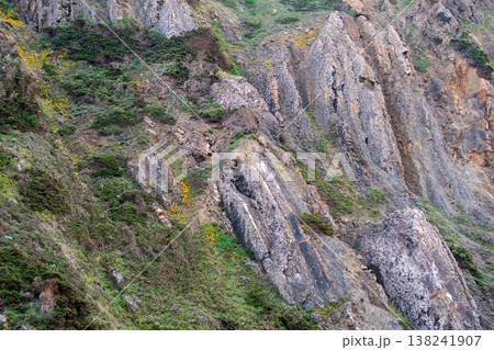 Steep Rock Face Covered in Green Vegetation 138241907