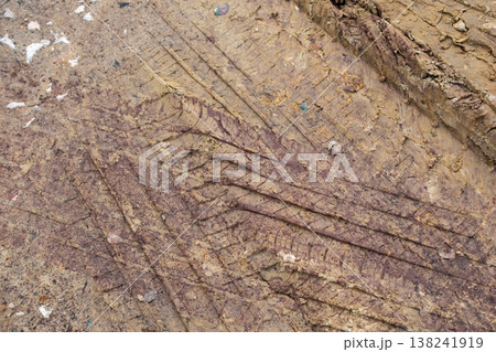 Deep Tire Tracks in Muddy Dirt Road Deep Tire Tracks in Muddy Dirt Road 138241919