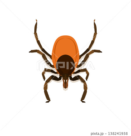 Flat vector illustration of tick, High detailed illustration of color tick. 138241938