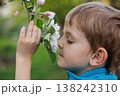 Young boy smelling blooming flowers on a tree branch outdoors 138242310
