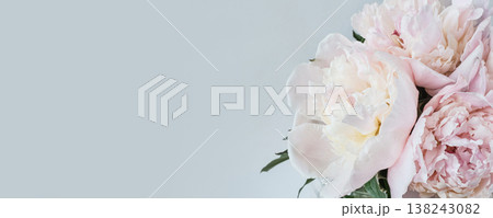 Peonies blooming with soft pink and white petals, banner format Peonies blooming with soft pink and white petals, banner format 138243082