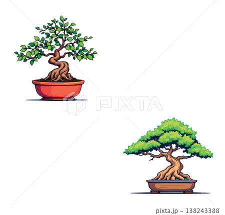Two bonsai trees growing in pots showing twisted trunks and green leaves 138243388