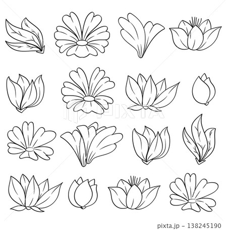 Flower Bud and Flowers Leaves Hand Drawn Line Collection. Flower Bud and Flowers Leaves Hand Drawn Line Collection. 138245190