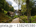 Charming traditional architecture nestled in the verdant hills of Madeira levada PR9 Levada do Caldeirao Verde, featuring a stone path lined with trees and vibrant vegetation 138245380