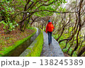 Tourist on Levada do Norte on the Portuguese island of Madeira. Levada irrigation canal. Hiking in Madeira. Narrow path next to the levada. Green mountains and ocean in background. 138245389