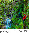 Travelers explore the beautiful levada trails in Madeira, experiencing the breathtaking views of a stunning waterfall surrounded by vibrant ferns and natural beauty 138245391