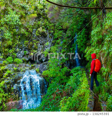 Travelers explore the beautiful levada trails in Madeira, experiencing the breathtaking views of a stunning waterfall surrounded by vibrant ferns and natural beauty 138245391