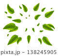 Green realistic tea leaves explosion with blurry leaf motion. Vector isolated illustration 138245905