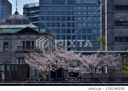 日本銀行大阪支店旧館と桜 138246898