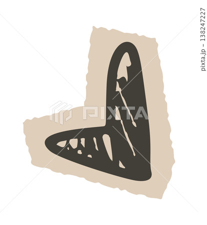 Fossil shark tooth with worn enamel Fossil shark tooth with worn enamel 138247227