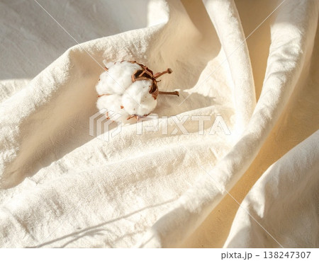 クリーム色の布地に、温かい光と影が映えるオーガニックコットンボール 138247307