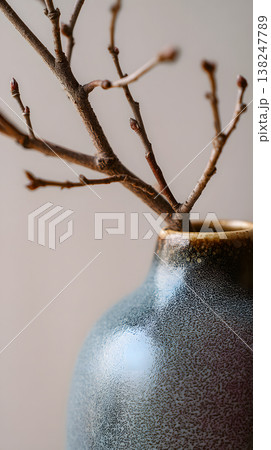 Minimalist ceramic vase with branch, showcasing wabi-sabi aesthetic in soft natural lighting Minimalist ceramic vase with branch, showcasing wabi-sabi aesthetic in soft natural lighting 138247789
