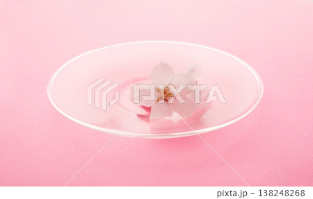 桜　　イメージ 138248268