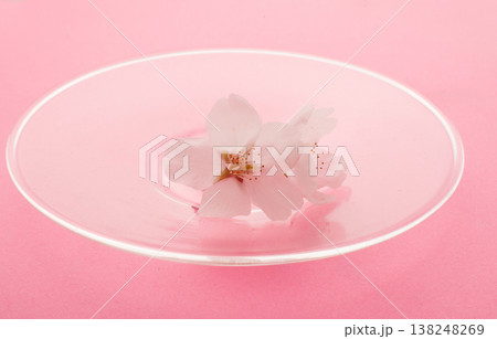 桜 イメージ 桜 イメージ 138248269