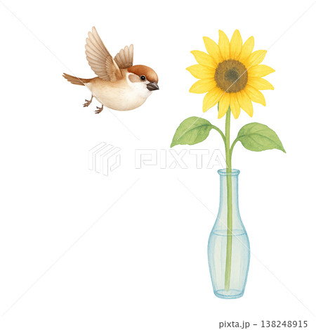 ひまわりと小鳥のシンプル素材 夏のナチュラルな明るいイメージ 白背景 138248915