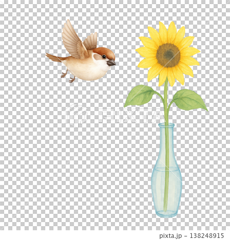 ひまわりと小鳥のシンプル素材 夏のナチュラルな明るいイメージ 白背景 138248915