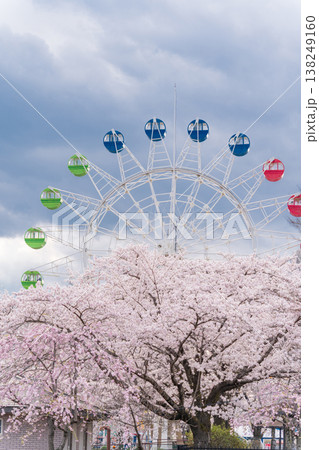 「青森県」八戸公園・子供の国 春の風景　八戸市 138249160