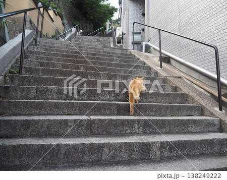尾道の路地と港と猫　広島県の懐かしい坂の街の風景 138249222