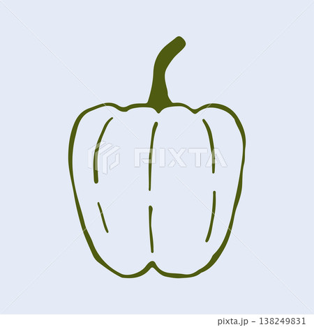 Hand drawn vector illustration of a fresh bell pepper. This minimalist line art vegetable graphic is perfect for healthy recipe blogs and organic farm market branding 138249831