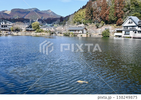 大分県由布院にある金鱗湖の風景 138249875