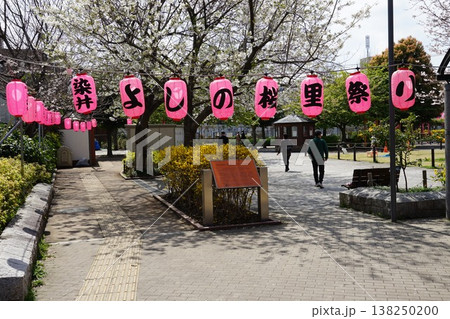 染井よしの桜里公園入口　3月豊島173染井よしの桜里公園・染井よしの桜里祭り 138250200