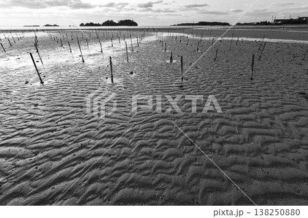 恩納村の海で朝日に照らされ輝く砂地とアーサの養殖場と砂紋 モノクロ 恩納村の海で朝日に照らされ輝く砂地とアーサの養殖場と砂紋 モノクロ 138250880