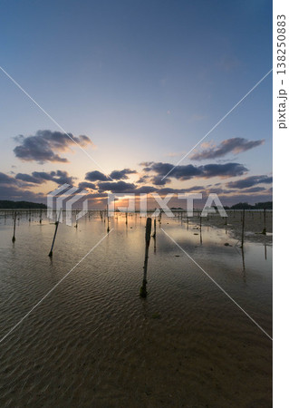 恩納村の海で朝日に照らされ輝く砂地とアーサの養殖1 138250883