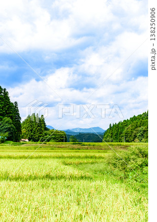 骨寺村田園の秋 もうすぐ稲刈り 骨寺村田園の秋 もうすぐ稲刈り 138250906