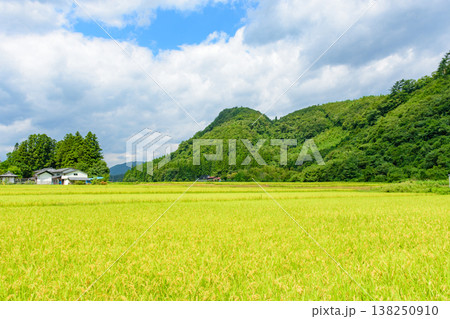 骨寺村田園の秋 もうすぐ稲刈り 骨寺村田園の秋 もうすぐ稲刈り 138250910
