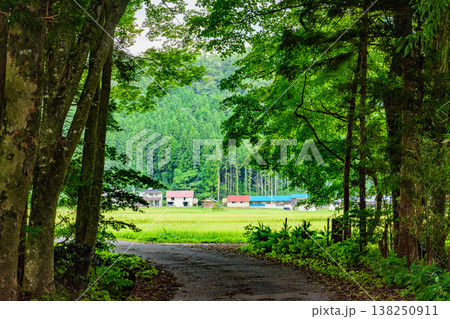 骨寺村田園の秋　もうすぐ稲刈り 138250911