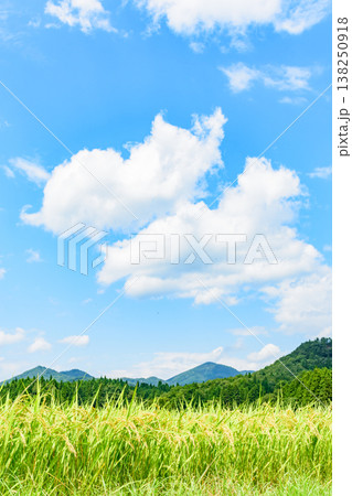 骨寺村田園の秋 もうすぐ稲刈り 骨寺村田園の秋 もうすぐ稲刈り 138250918