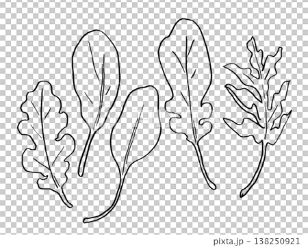 Line drawing illustration, simple illustration, baby leaf Line drawing illustration, simple illustration, baby leaf 138250921